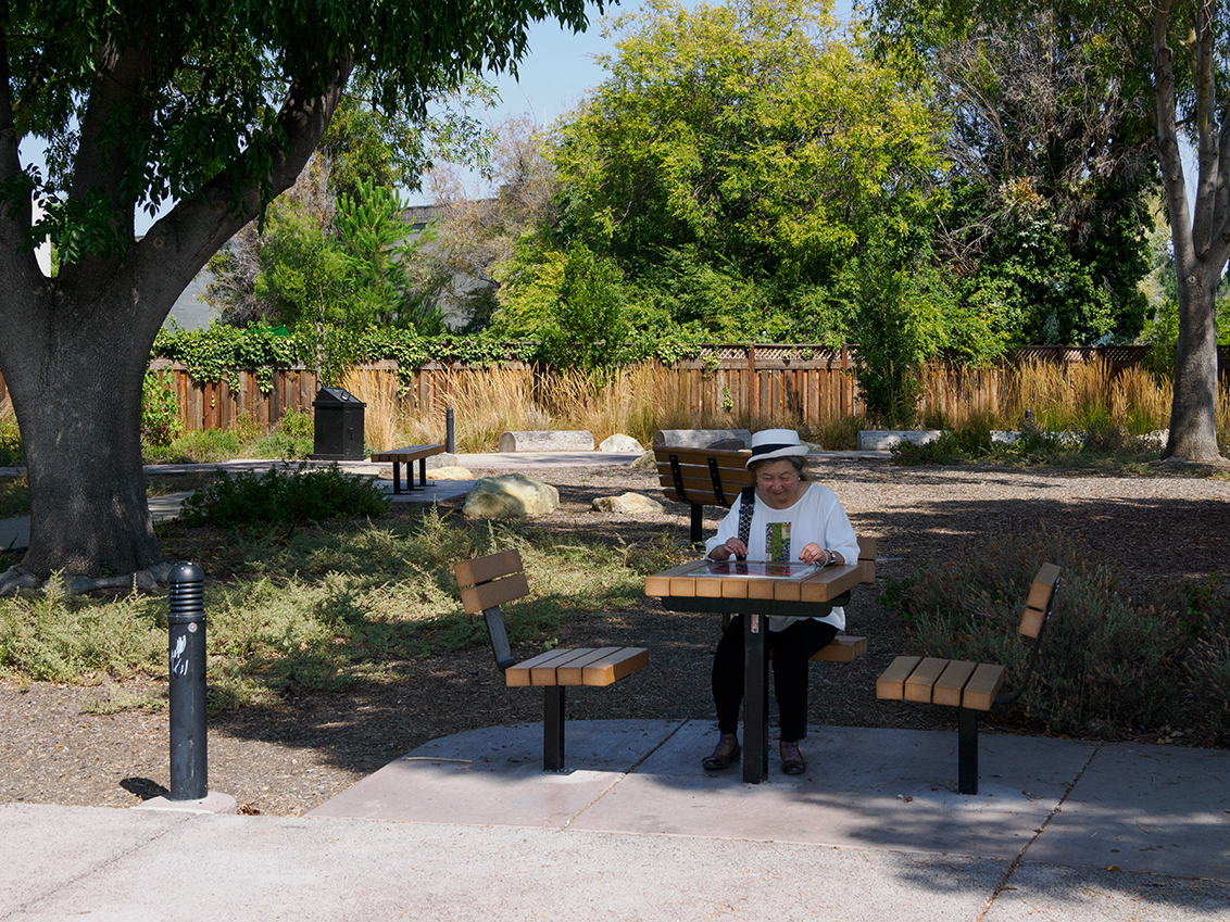 Wyandotte Park - Mountain View, CA