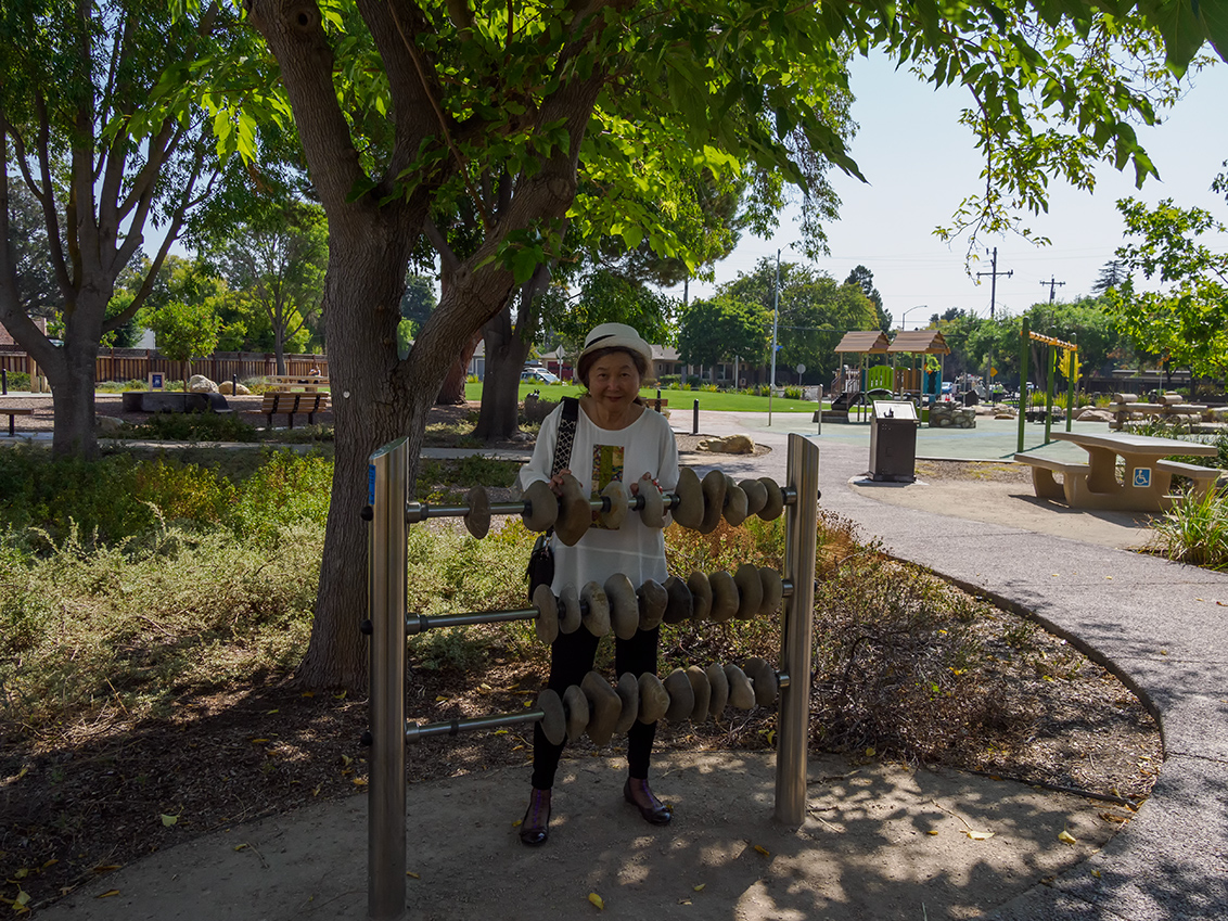 Wyandotte Park - Mountain View, CA