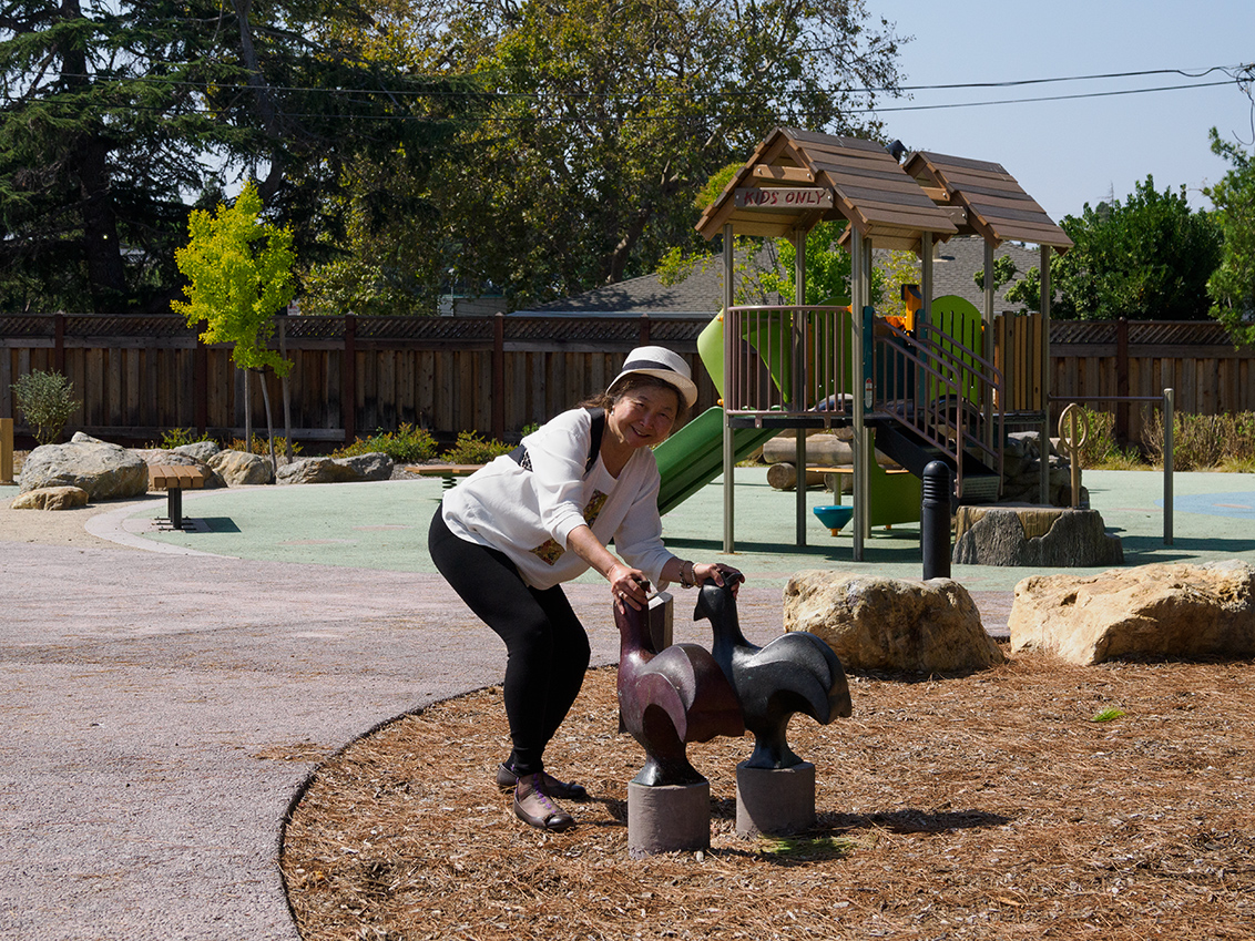 Wyandotte Park - Mountain View, CA